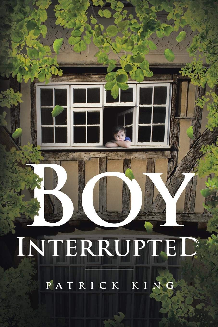 Boy Interrupted.jpg