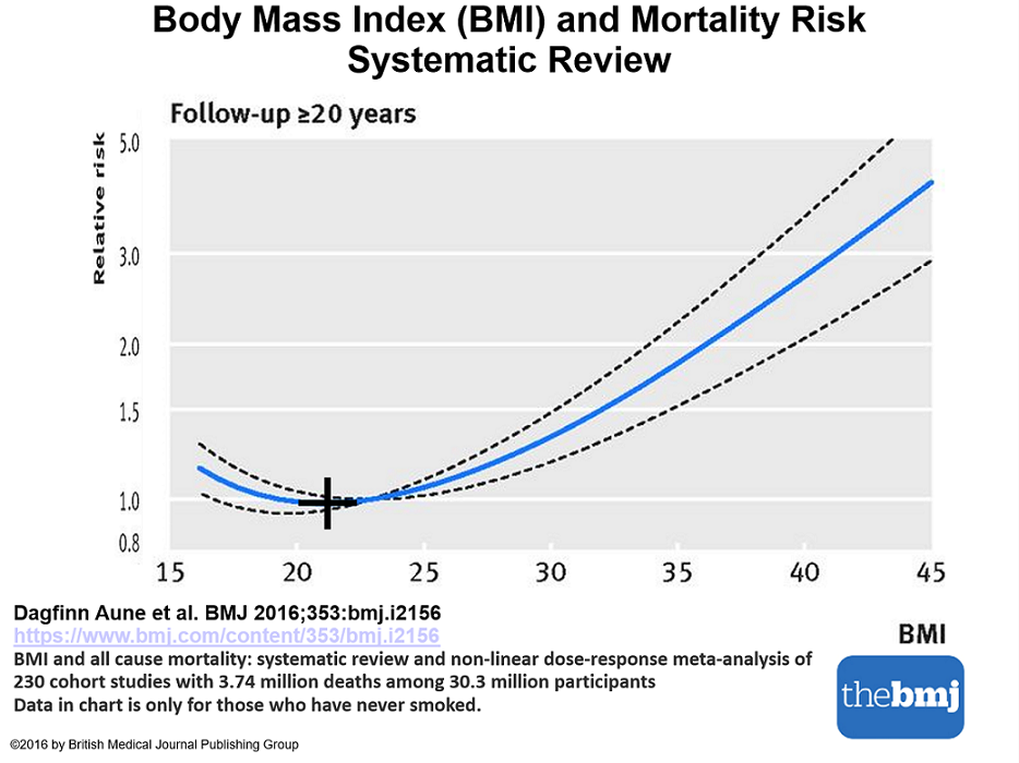BMI Mortality Risk.png