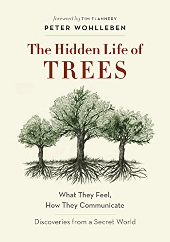 The Hidden Life of Trees: What They Feel, How They Communicate - Discoveries from A Secret World - by Peter Wohlleben